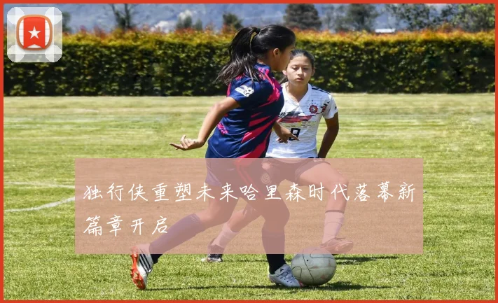 独行侠重塑未来哈里森时代落幕新篇章开启