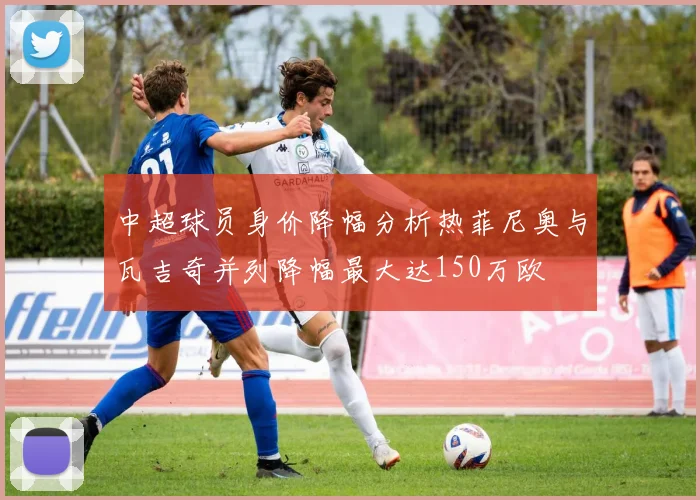 中超球员身价降幅分析热菲尼奥与瓦吉奇并列降幅最大达150万欧